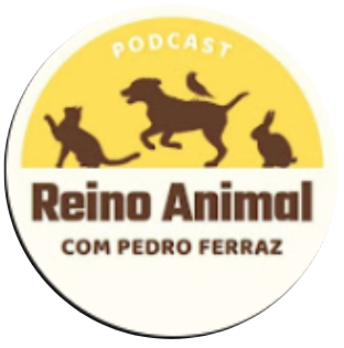 Reino Animal